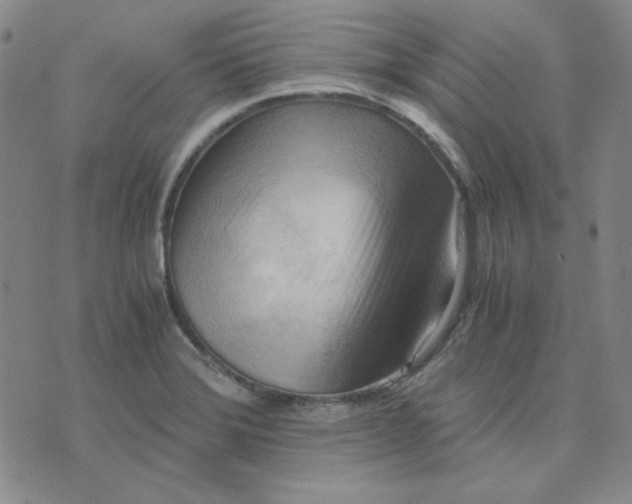 X0000076231372200610191547