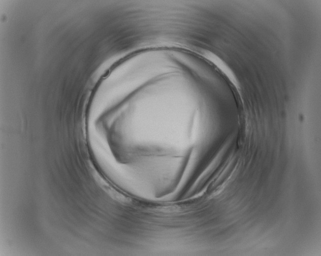 X0000076231388200610191547
