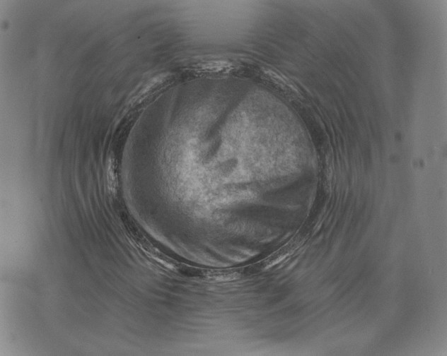 X0000076231394200610191546