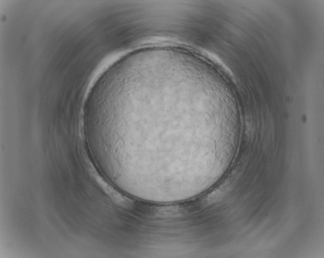 X0000076231421200610191546
