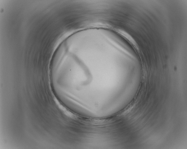 X0000076231439200610191547