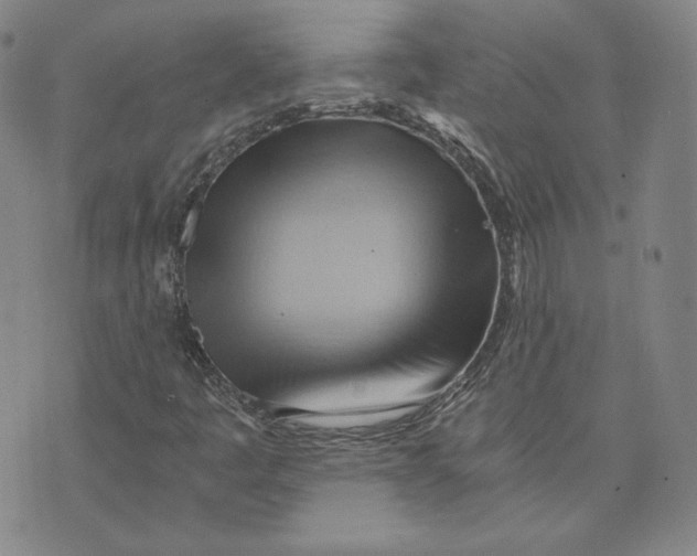 X0000076231445200610191546