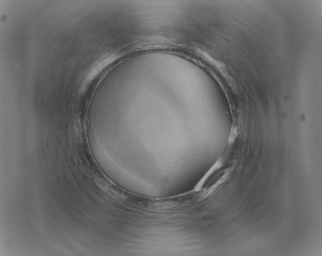 X0000076231453200610191546