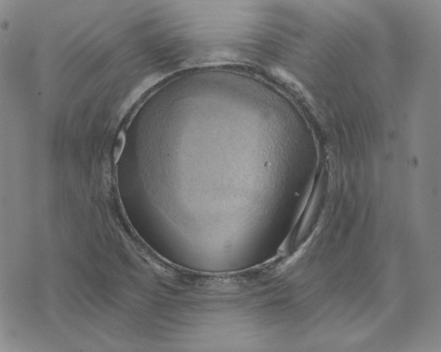 X0000076231457200610191546