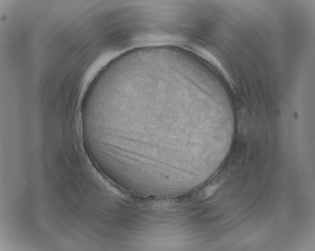 X0000076231472200610191545