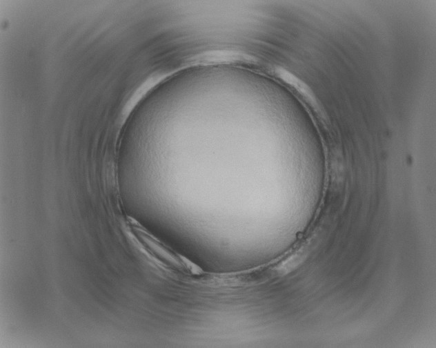 X0000076231473200610191545