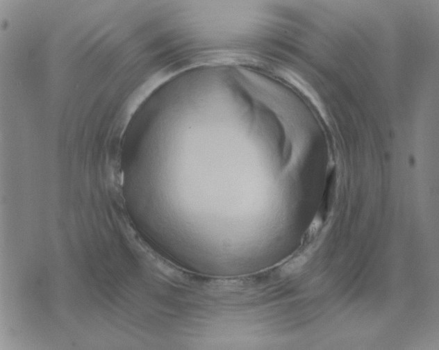 X0000076231481200610191545