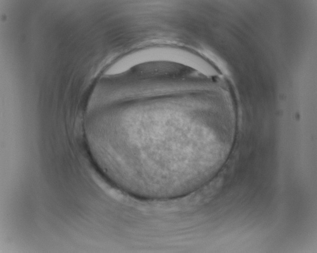 X0000076230009200610261902