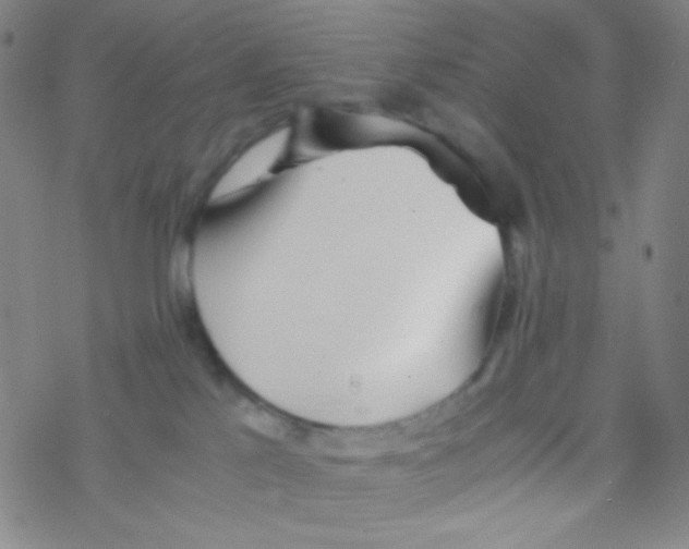 X0000076230041200610261901