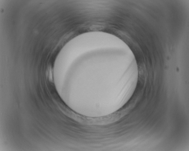 X0000076230046200610261901