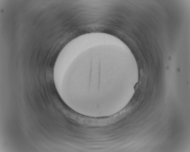 X0000076230048200610261901