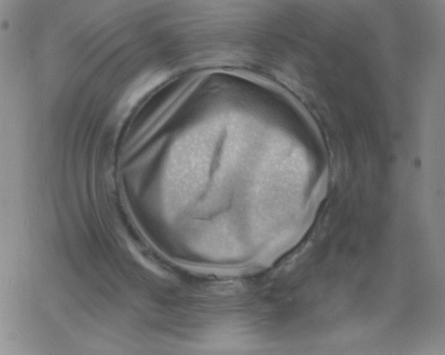 X0000076230050200610261900