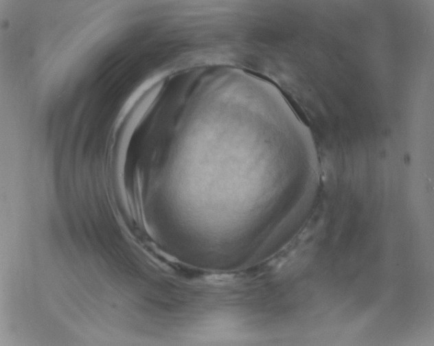 X0000076230052200610261900