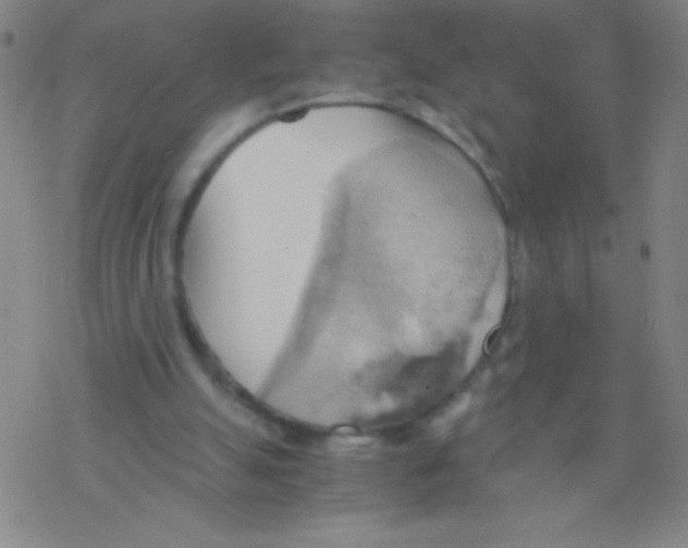 X0000076230055200610261900