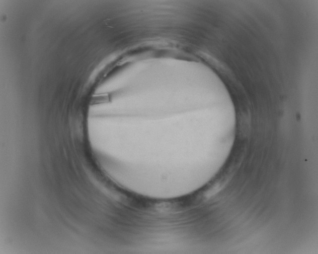 X0000076230064200610261901