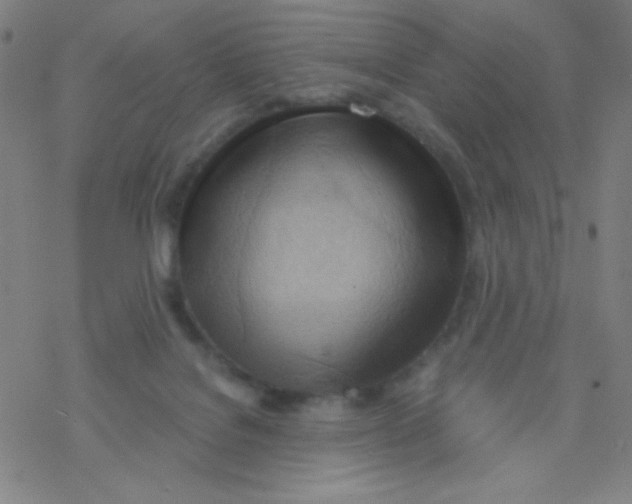X0000076230076200610261901