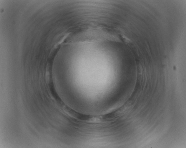 X0000076230080200610261901