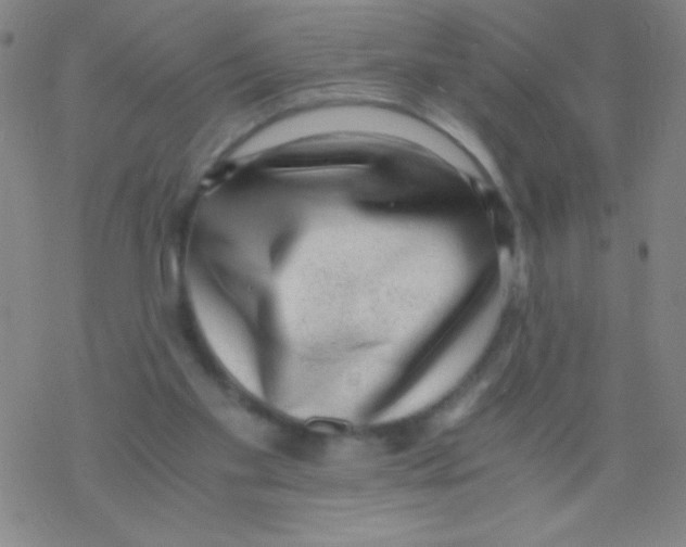 X0000076230109200610261900