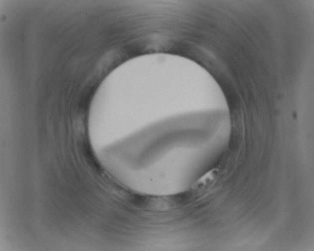 X0000076230127200610261900