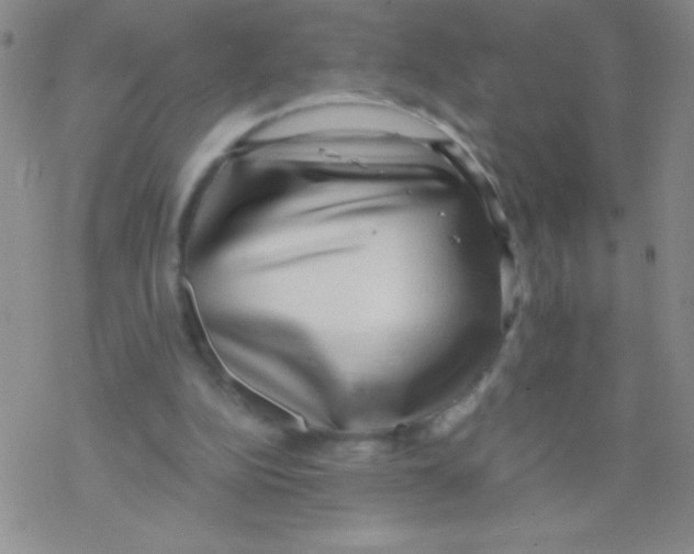 X0000076230152200610261859