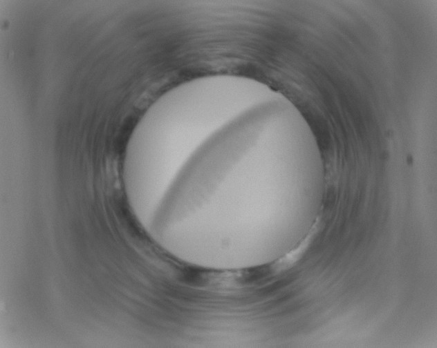 X0000076230182200610261859