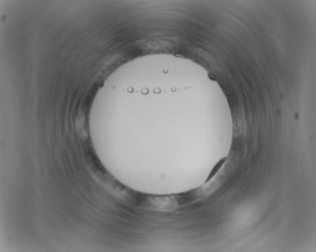 X0000076230187200610261859