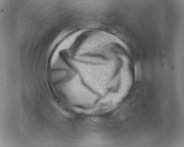 X0000076230195200610261859