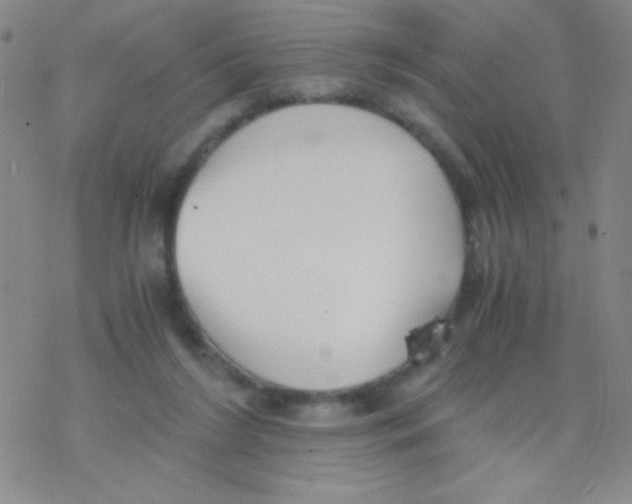 X0000076230212200610261858