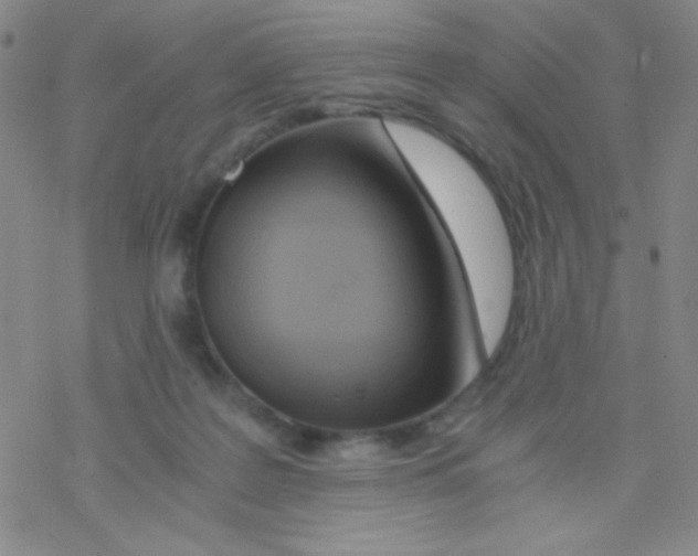 X0000076230219200610261858