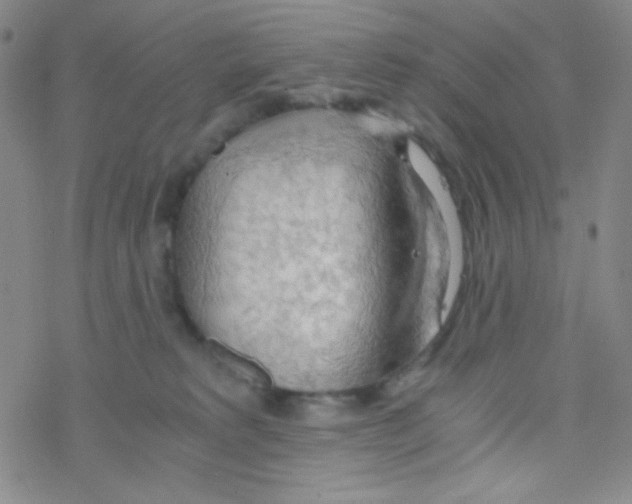 X0000076230229200610261858