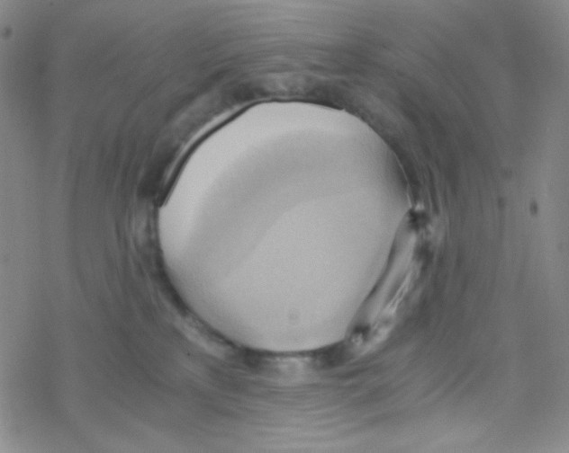 X0000076230233200610261858