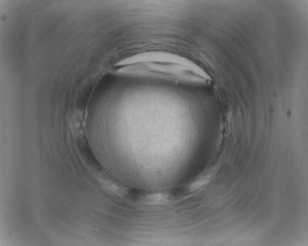 X0000076230237200610261858