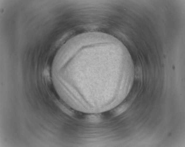 X0000076230238200610261858