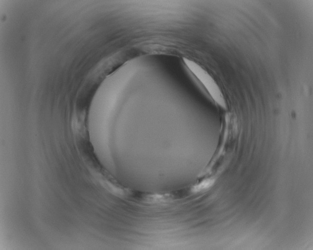 X0000076230239200610261858