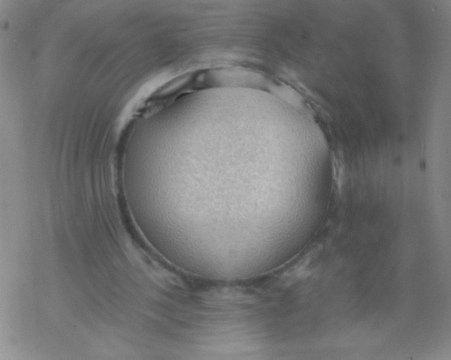 X0000076230244200610261857
