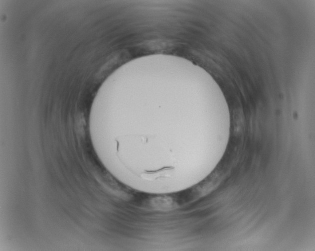 X0000076230279200610261858