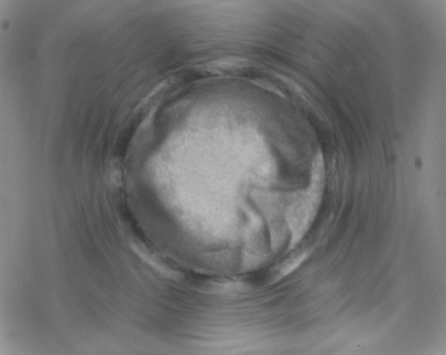 X0000076230284200610261858