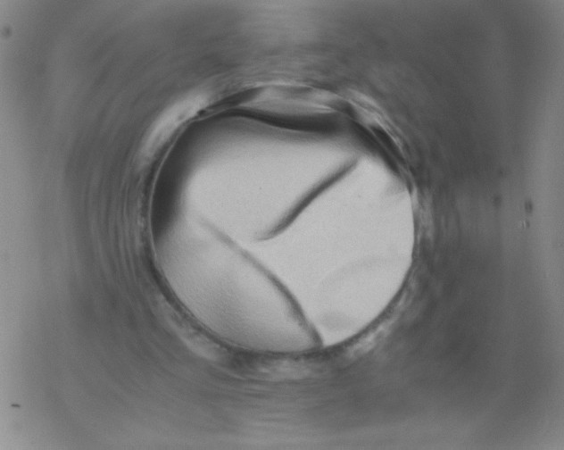 X0000076230293200610261857
