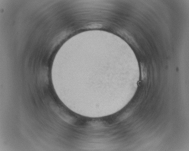 X0000076230300200610261857