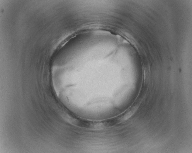 X0000076230301200610261857