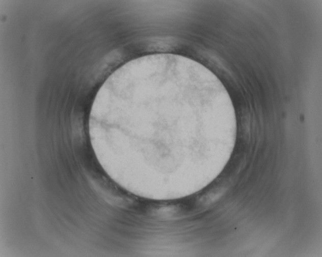 X0000076230312200610261857
