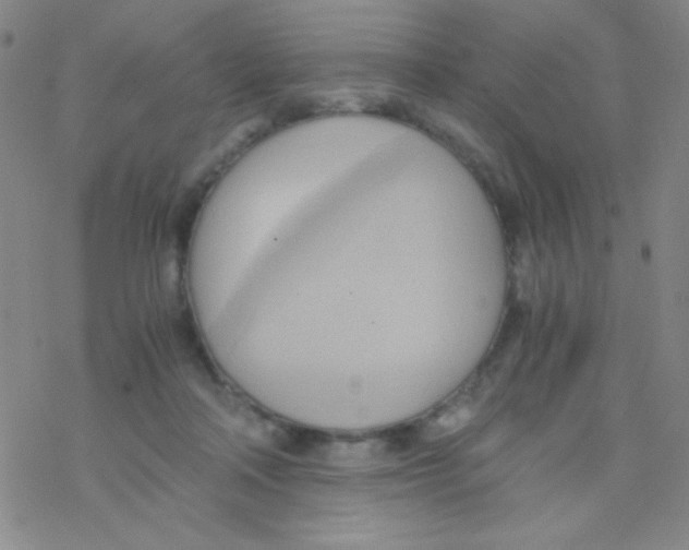 X0000076230314200610261857