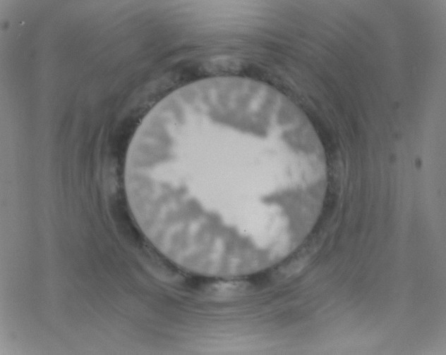 X0000076230323200610261857