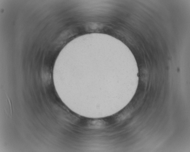 X0000076230324200610261857