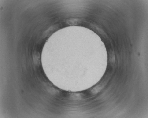 X0000076230332200610261856