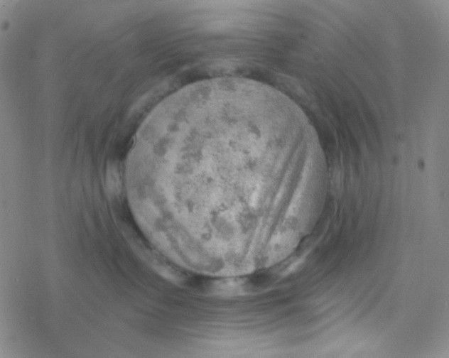 X0000076230335200610261856