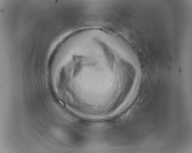 X0000076230342200610261856
