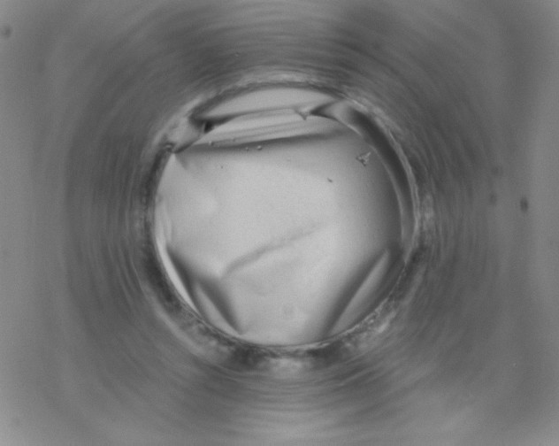 X0000076230352200610261856
