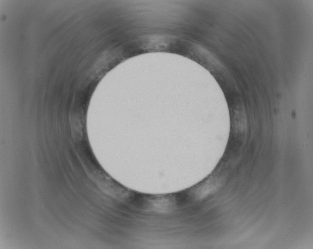 X0000076230370200610261856