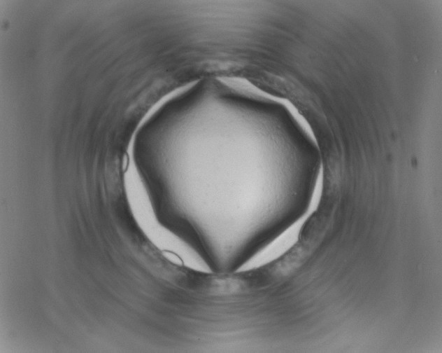 X0000076230376200610261856